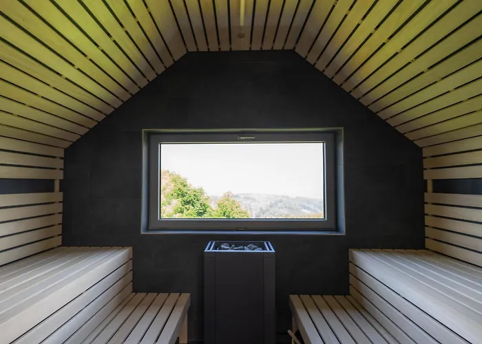 De Luxe H751 Mit Panoramasauna By Interhome * Masserberg