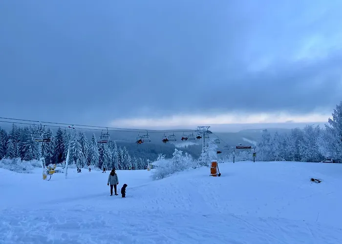 De Luxe H751 Mit Panoramasauna By Interhome *