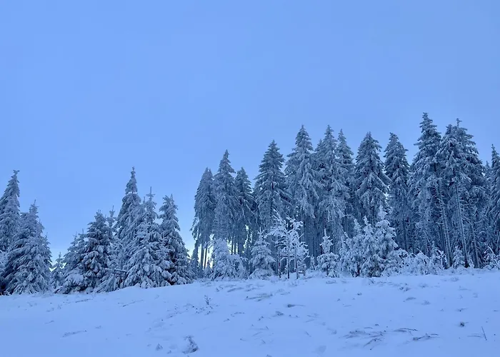 De Luxe H751 Mit Panoramasauna By Interhome *